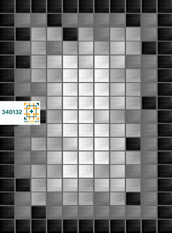 فرش 340 شانه دنیز کد 340132