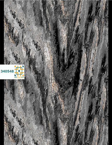 فرش 340 شانه دنیز کد 340548