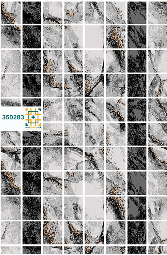 فرش 340 شانه دنیز 350283