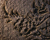 فرش چهل تکه 1200 شانه آبرنگی کد 103